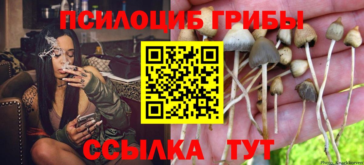 COCAIN  МДМА  Ивантеевка  Меф МЯУ МЯУ  Конопля  Амфетамин кристаллы  ГАШИШ  Меф МЯУ МЯУ кристаллы  ЭКСТАЗИ  Гашиш  Вход с VPN 